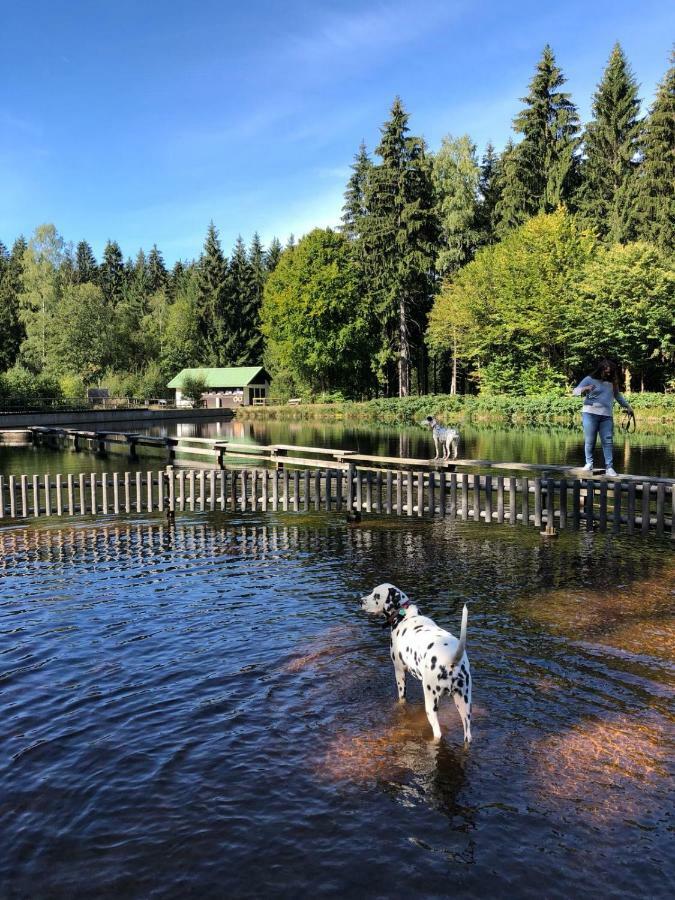 Pension Maddox Warmensteinach Kültér fotó